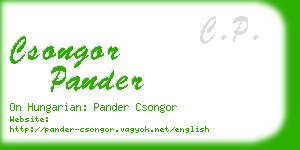 csongor pander business card
